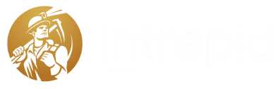 Intrepid Metals Logo